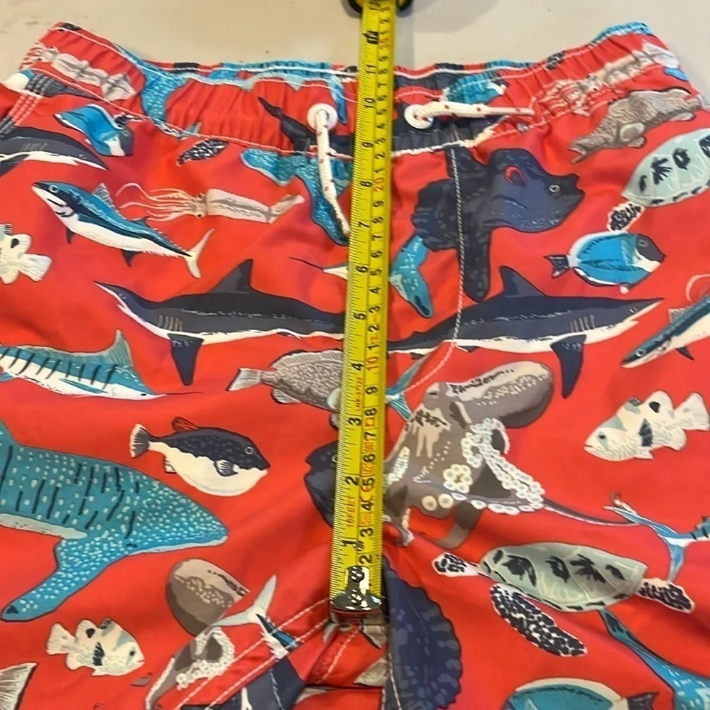 GAP - boys swim trunks, bathing suit.  Shark / fish print.  Size boys XL